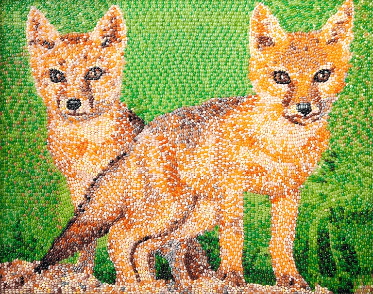 Canadian Swift Foxes jelly bean art mosaic portrait