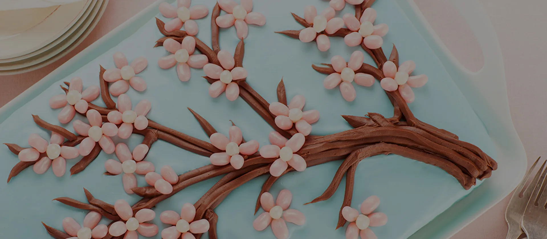 Beanspiration Gourmet Confectionery Applications