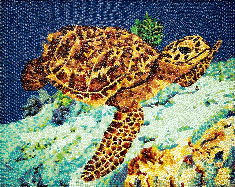Hawksbill Sea Turtle jelly bean art installation